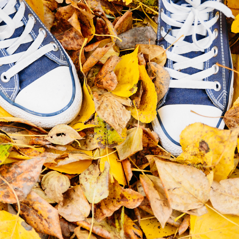 Autumn Winter