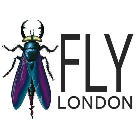 Fly