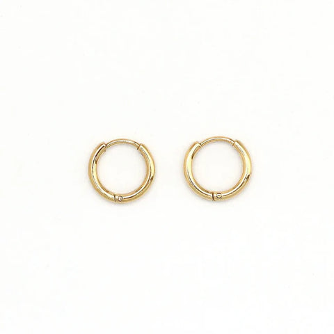 Pineapple Island SSE001 Tiny Huggie Hoop Earrings