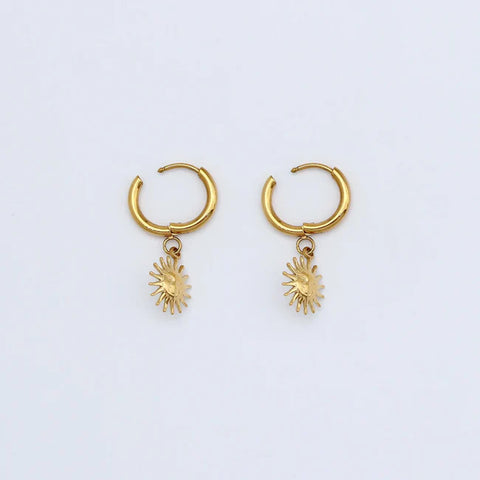 Pineapple Island SSE006  Sun Hoop Earrings Steel