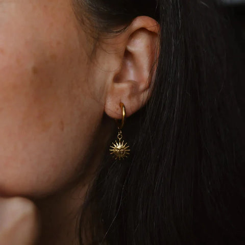 Pineapple Island SSE006  Sun Hoop Earrings Steel