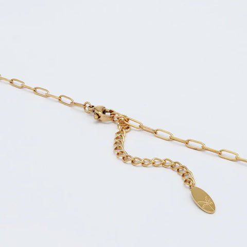 Pineapple Island SSN009 Sun Charm Necklace  Steel